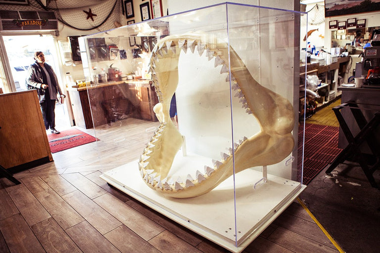 DARK SEAS - EL TACO DE PESCADO CHALLENGE