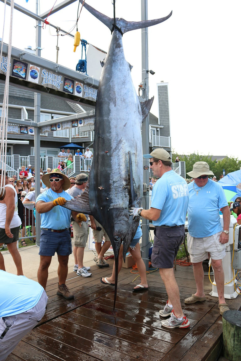 41st Annual White Marlin Open Recap