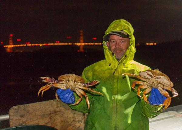 Dark Sea's "Frisco" Division