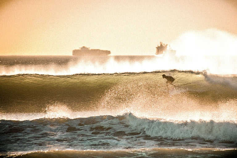Winter Wonderland - Bolsa Chica CA - Photos by Lauren Beitel