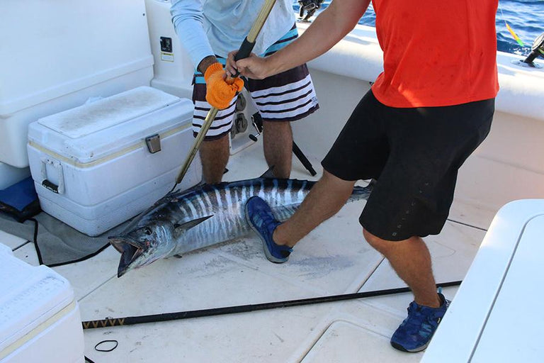 Out with Howes Fishing