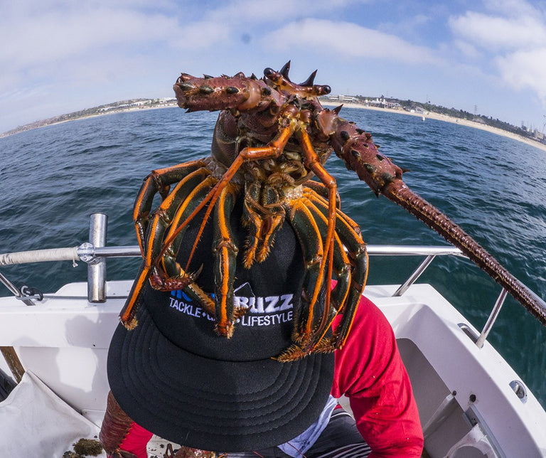 Dive in with the HookBuzz Crew