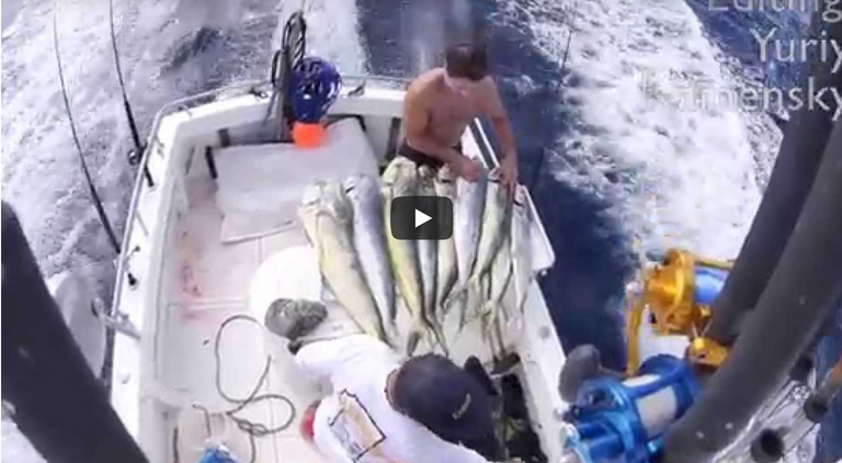 Clark McNulty footage from October........