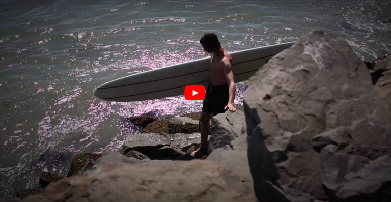 Buntline Boardshorts