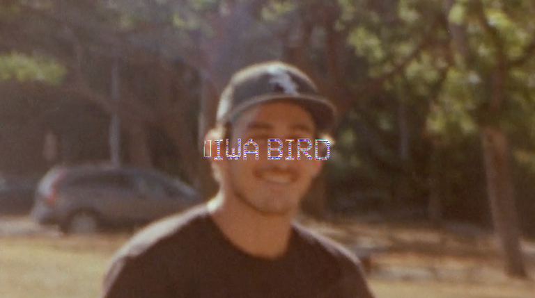 KALANI DAVID - IWA BIRD