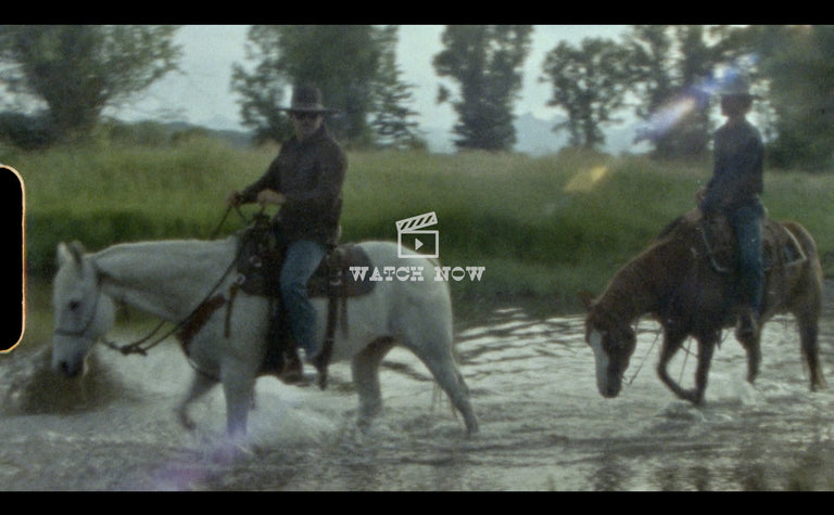 Venturing Past the Shoreline