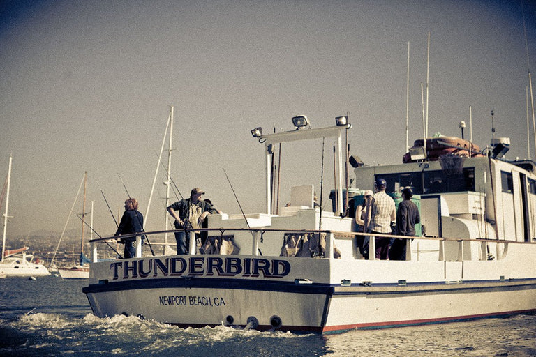 White Sea Bass Project