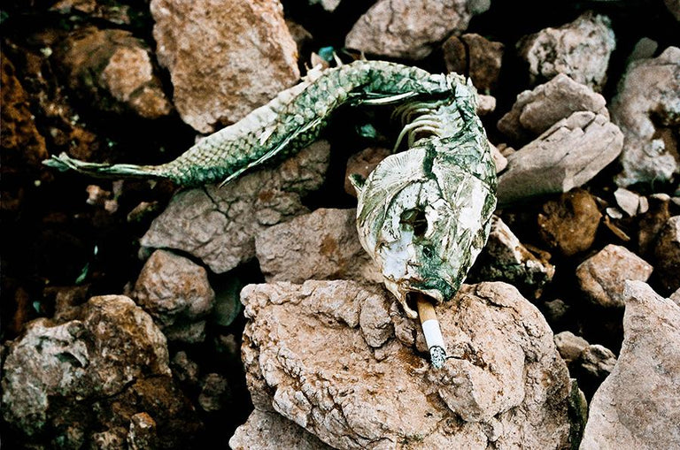 Dark Seas Dago Division - Photos by Leeland Bain