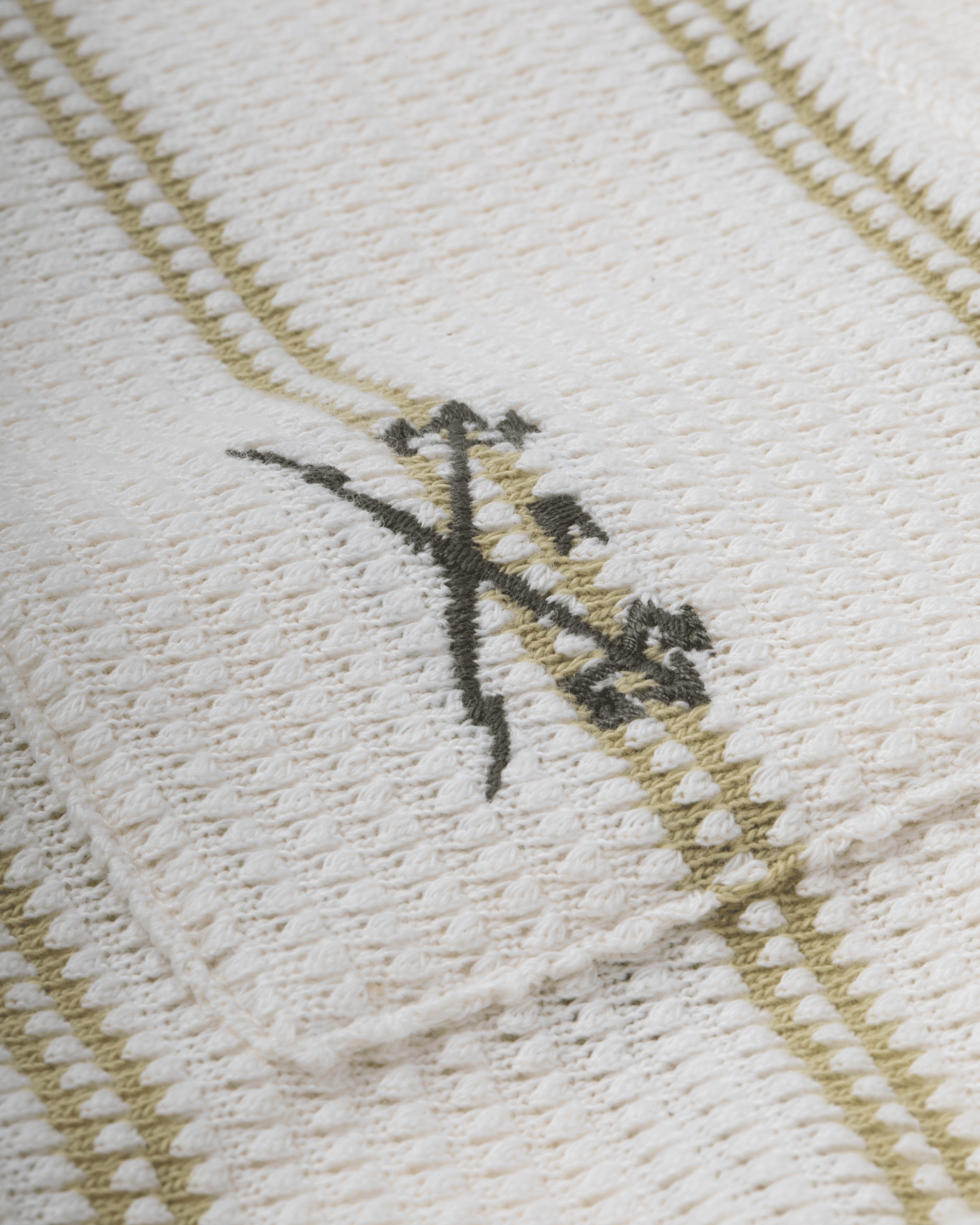 Shayne Polo (zoomed)