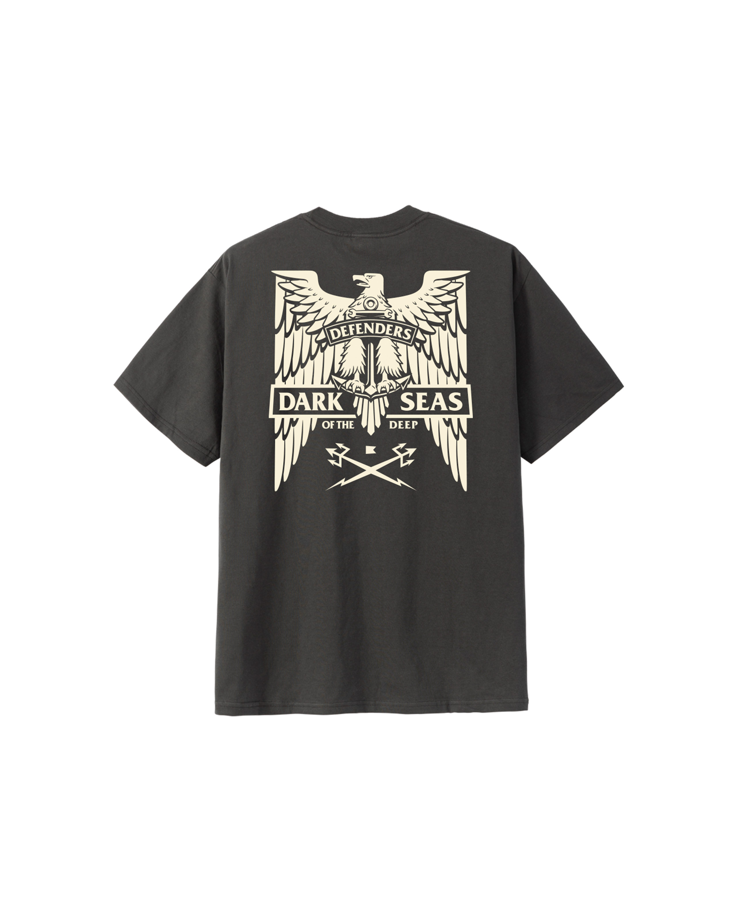 dark-seas-homeland-heavyweight-t-shirt-vintage-black (zoomed)