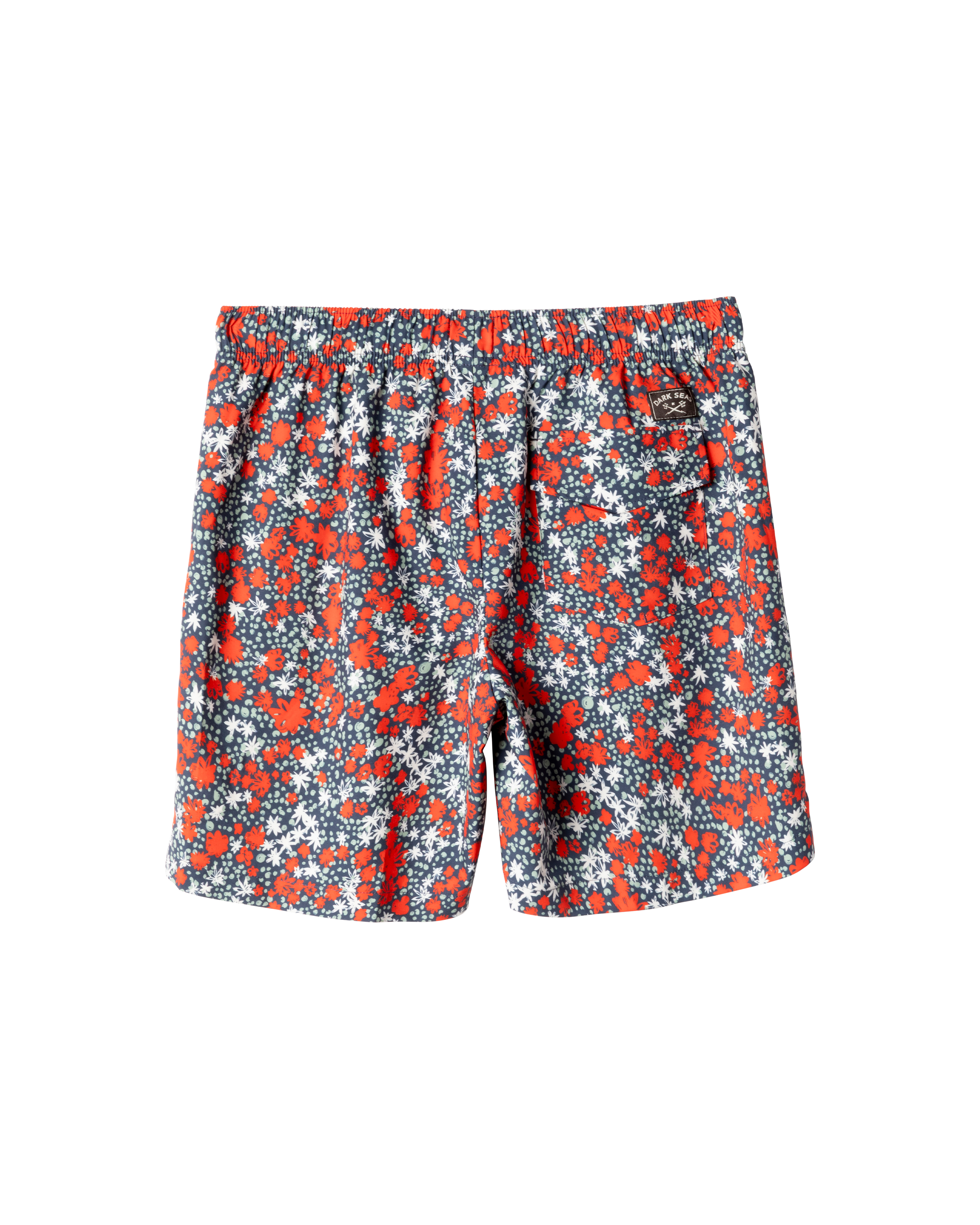 Warwick Short (zoomed)